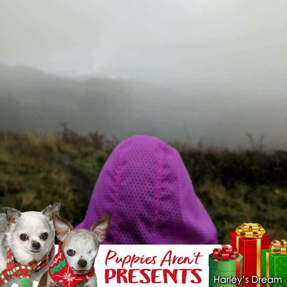 Meet your Posher, Maria - Picture 1 of 1