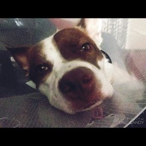 Meet your Posher, Sara