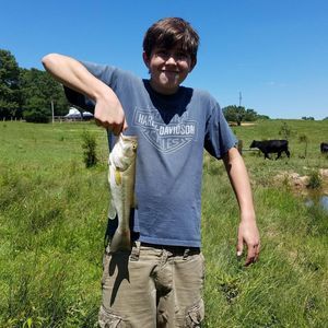 Meet your Posher, Hunter