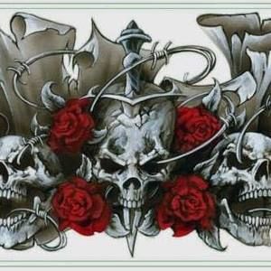 Meet your Posher, Sonny