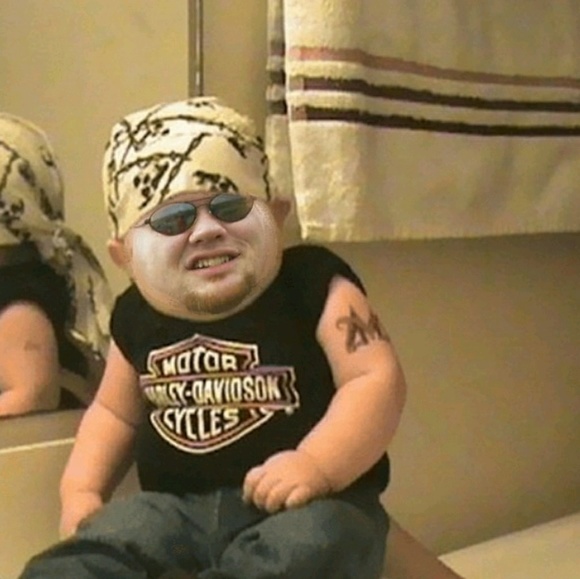 Meet your Posher, Paul - Picture 1 of 1