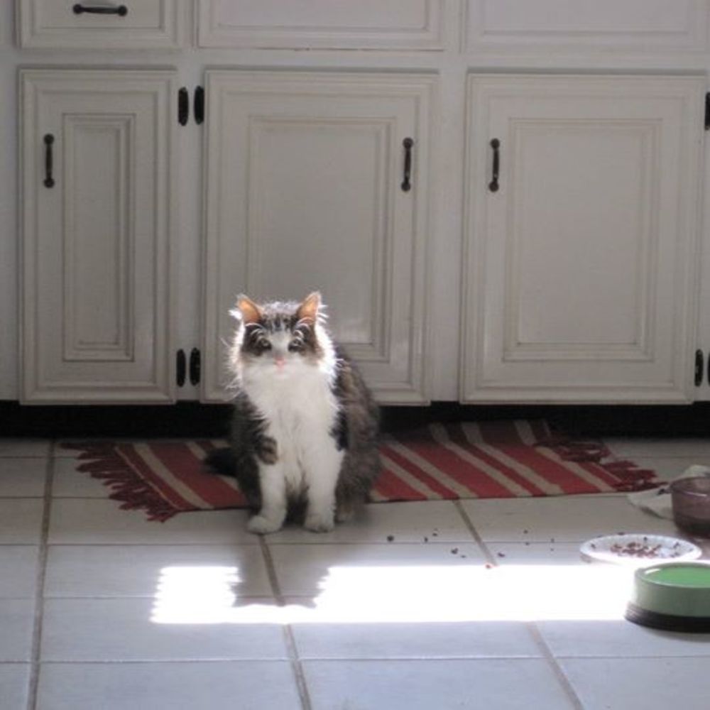 Meet your Posher, Ashlea