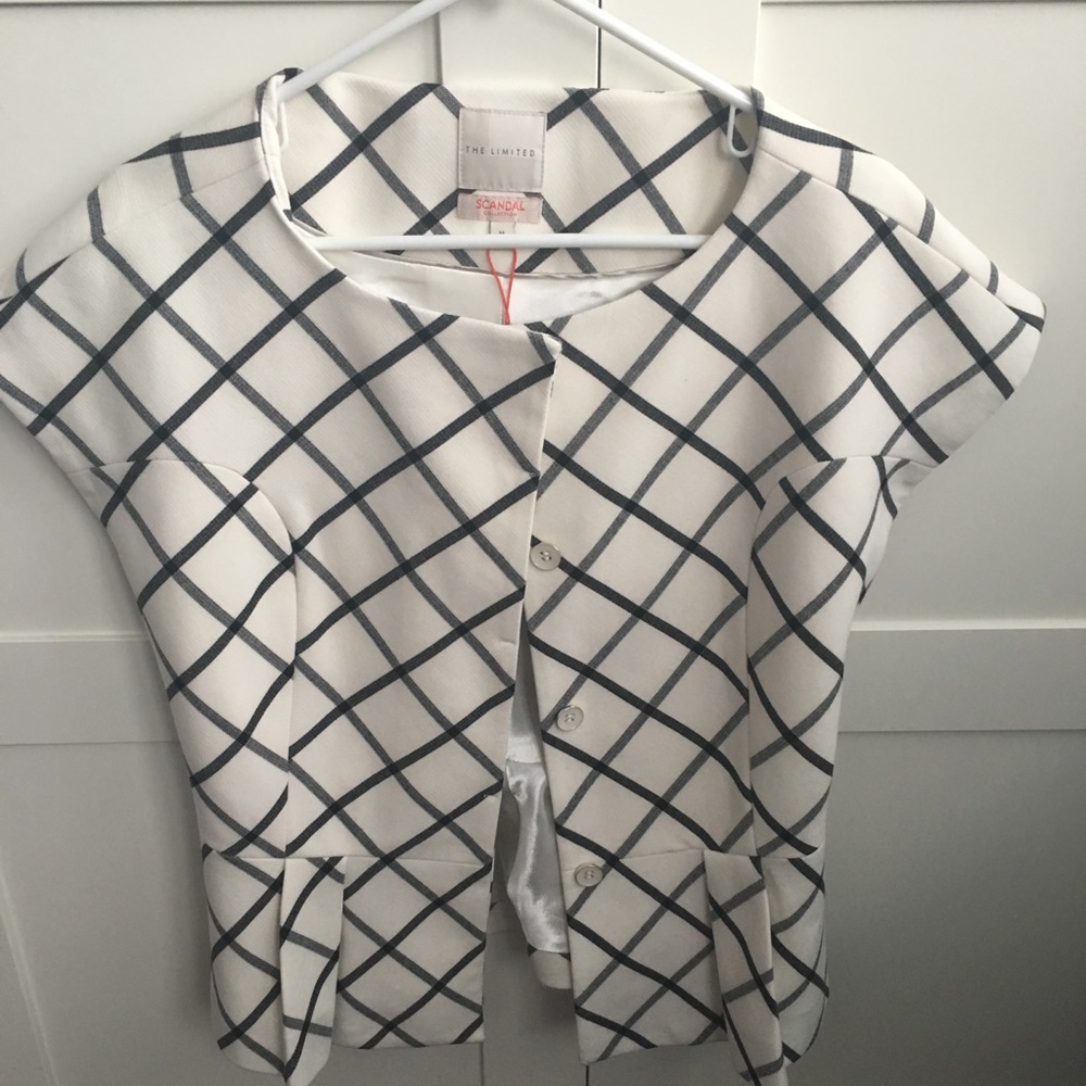 The Limited Scandel blazer