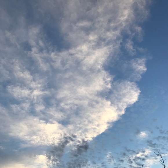 Meet your Posher, Andi - Picture 1 of 1