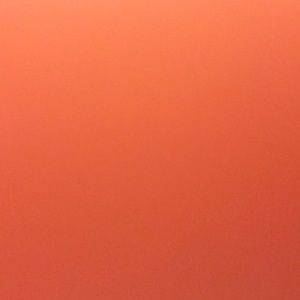 Meet your Posher, Biana