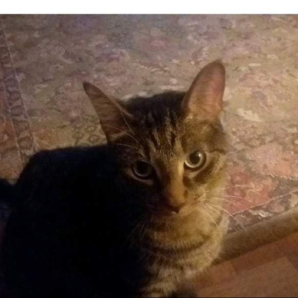 Help me get started🙂 - Picture 2 of 3