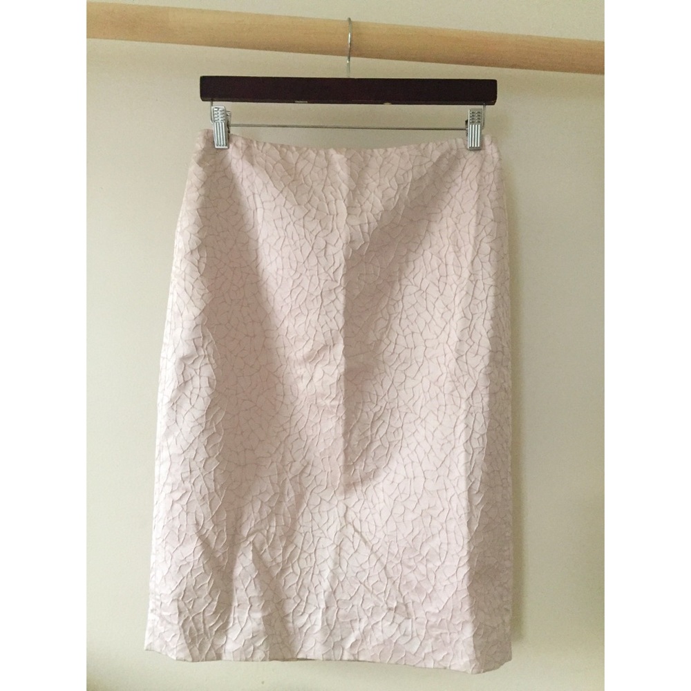 Ellen Tracey light pink skirt with unique textile