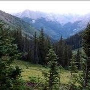 Meet your Posher, Dustin