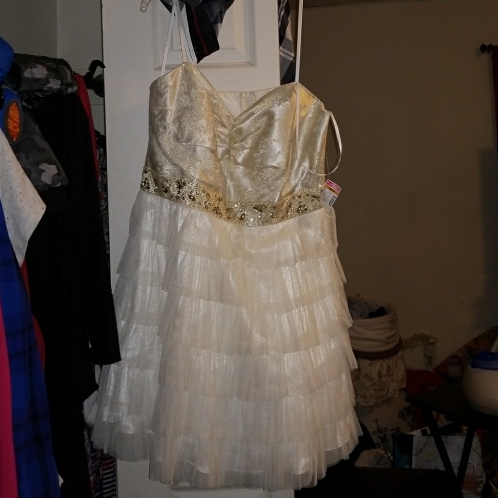 Prom/Formal Dress
