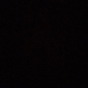 Meet your Posher, Priscilla