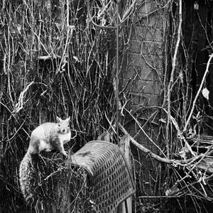 Meet your Posher, Val