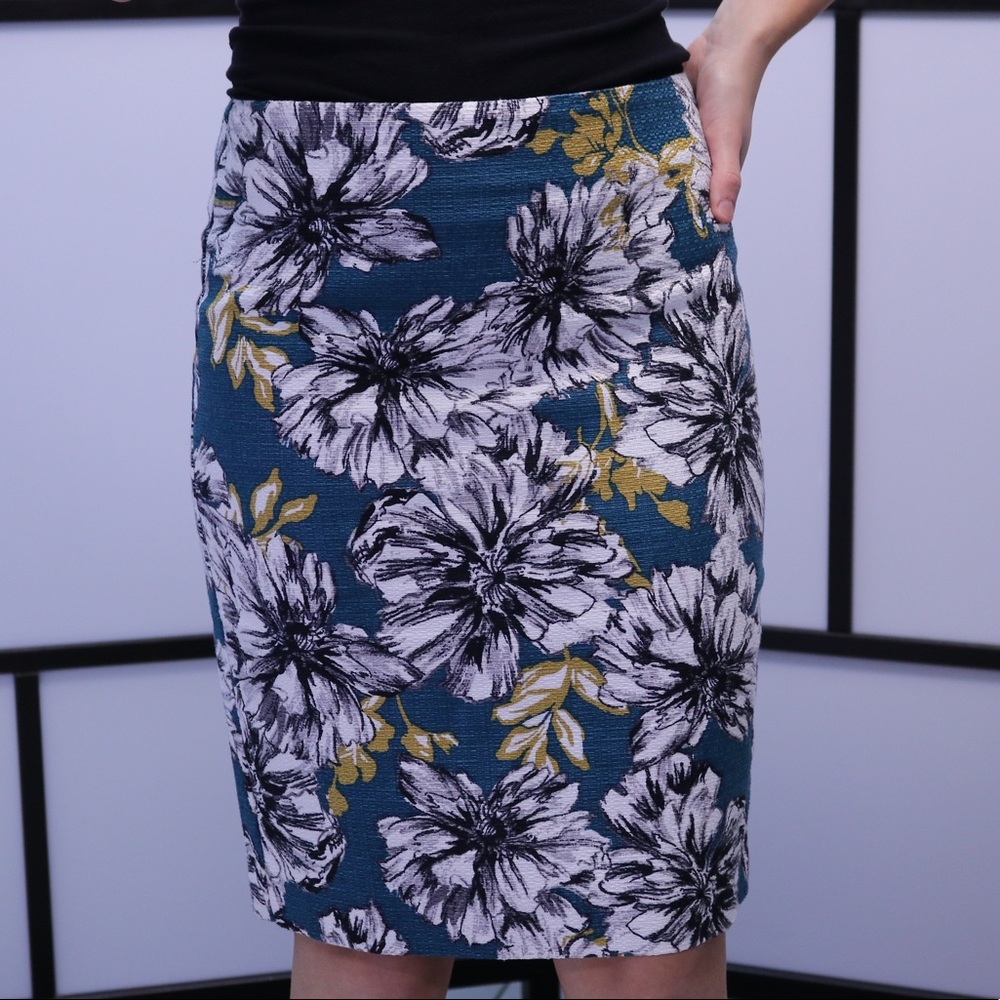 BLKFRI Ann Taylor Pencil Skirt