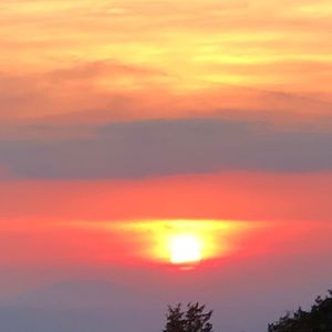 Meet your Posher, Josh