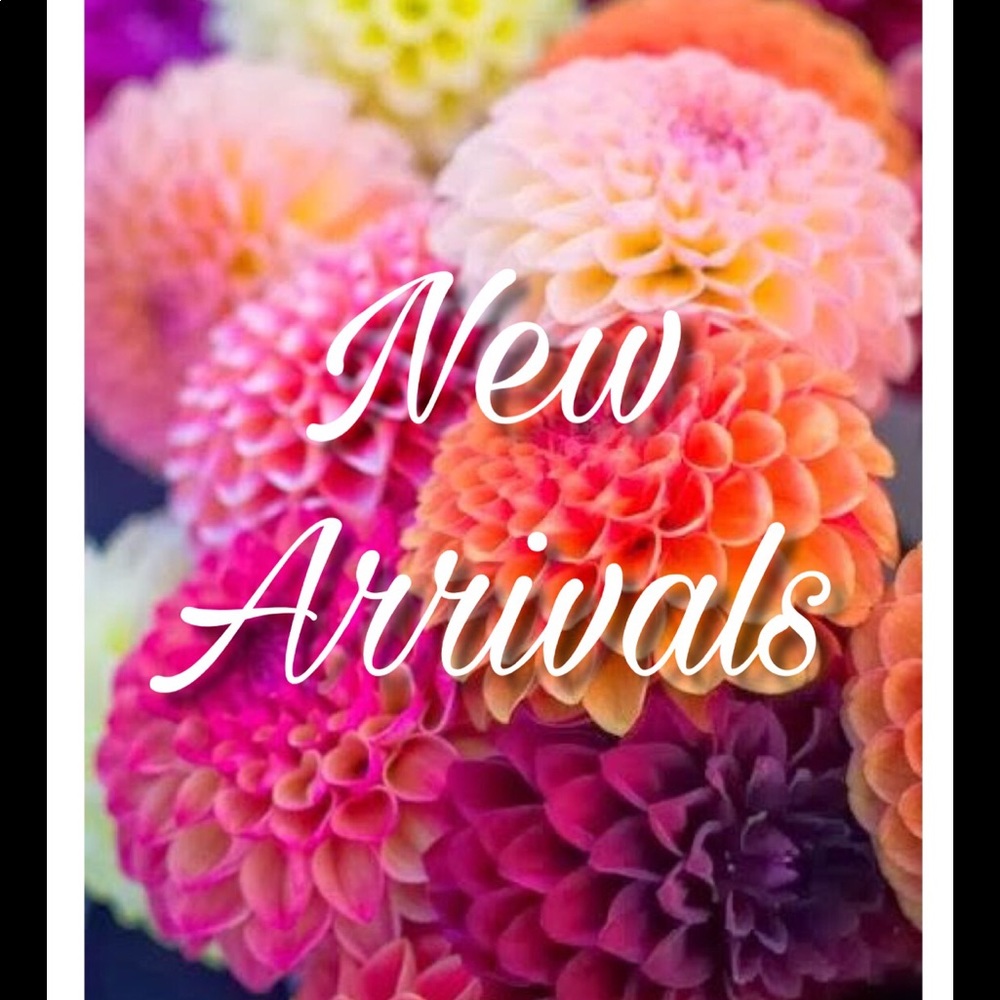 💗💕NEW ARRIVALS💕💗
