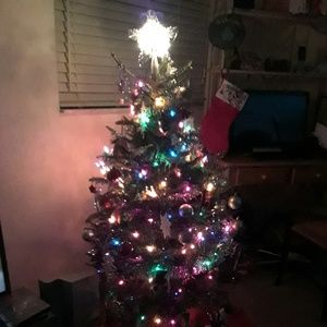 Meet your Posher, Alicia