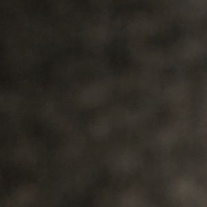 Meet your Posher, Addie