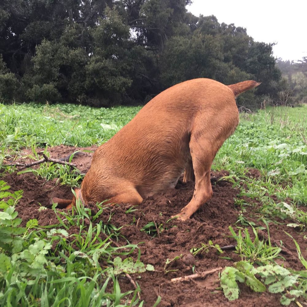 Meet your Posher, Kristan