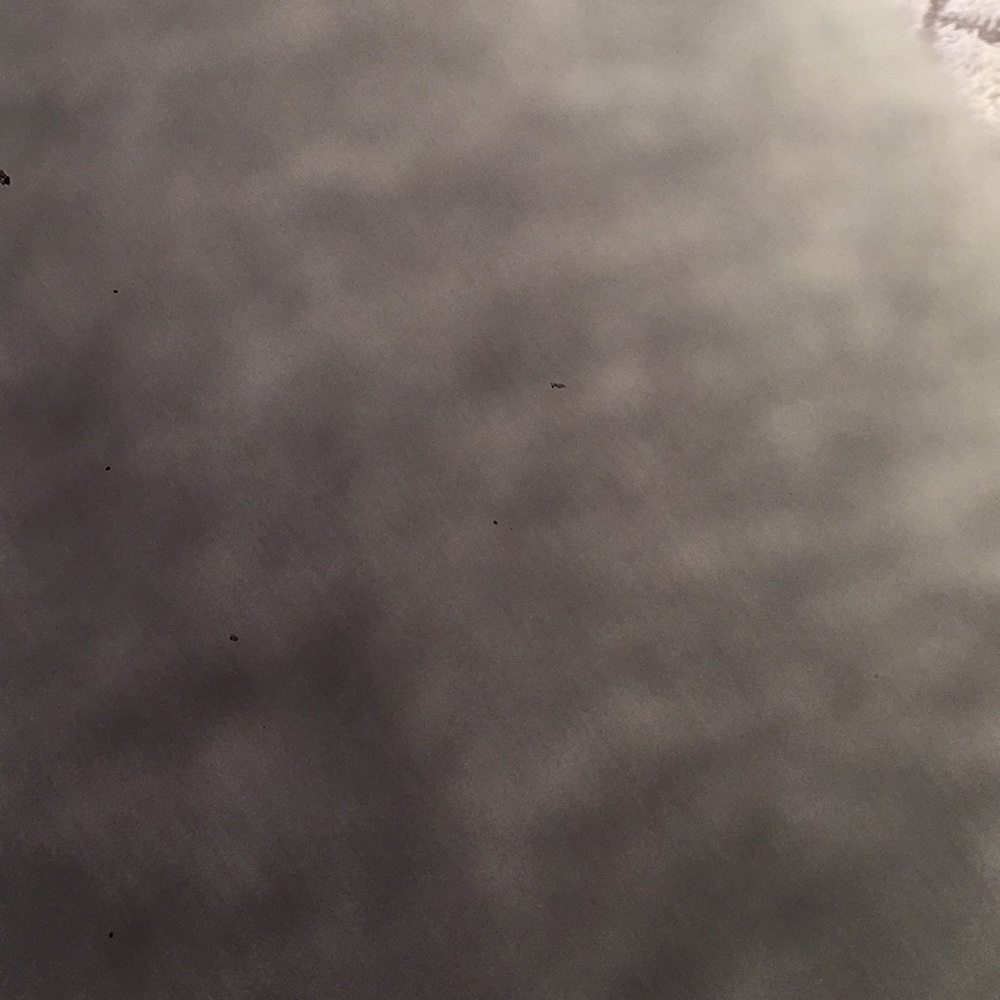 Meet your Posher, Reagan