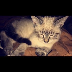 Meet your Posher, Madeline