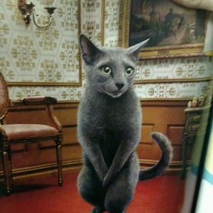 Meet your Posher, Terri