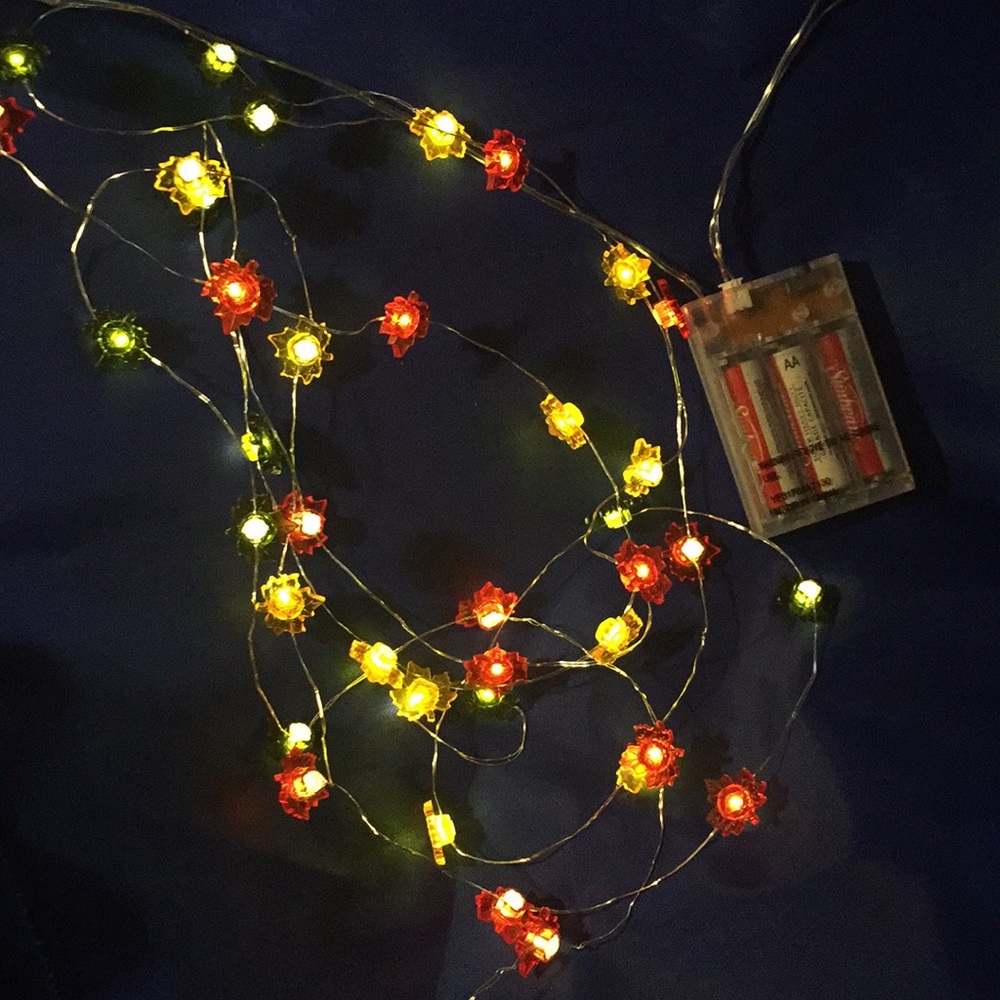 Thin wire fall leaf lights 10ft