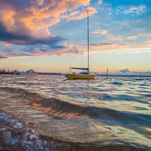 Meet your Posher, Chase