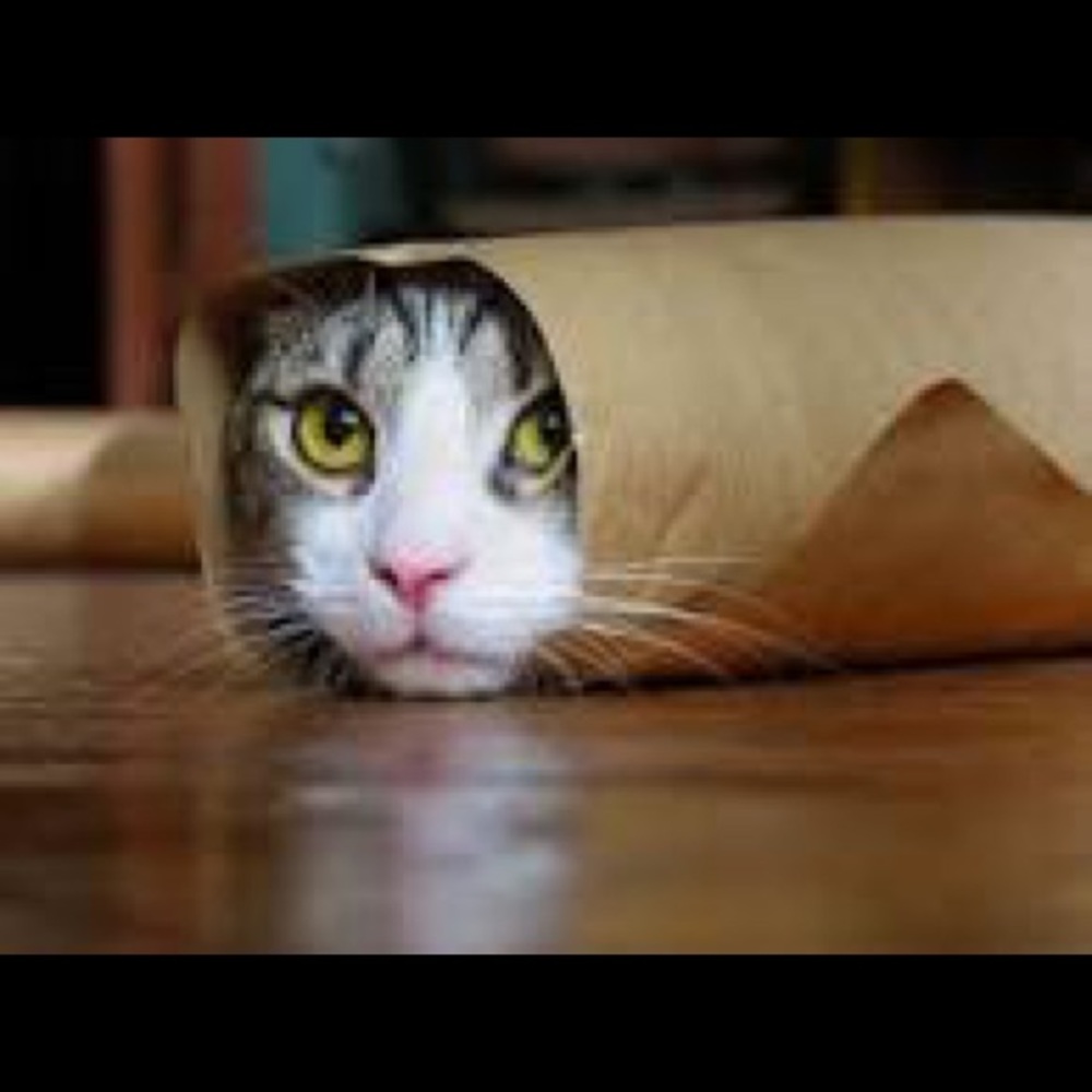 Meet your Posher, Omar