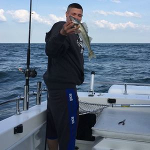 Meet your Posher, Danny