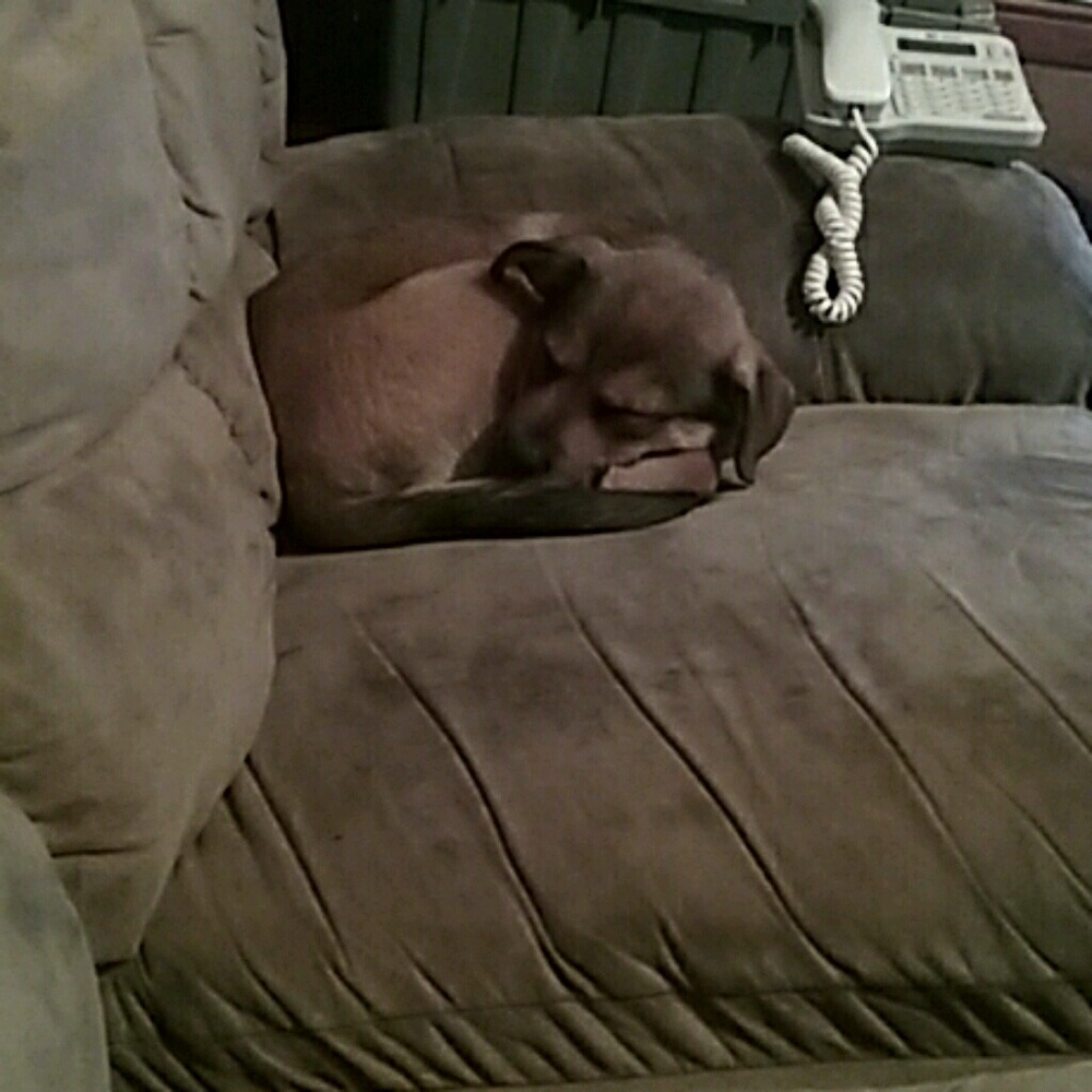 Meet your Posher, Kimberlee