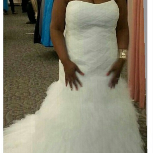 Gorgeous Olegi Cassini Wedding Dress - Picture 4 of 4