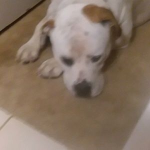 Meet your Posher, Caryann