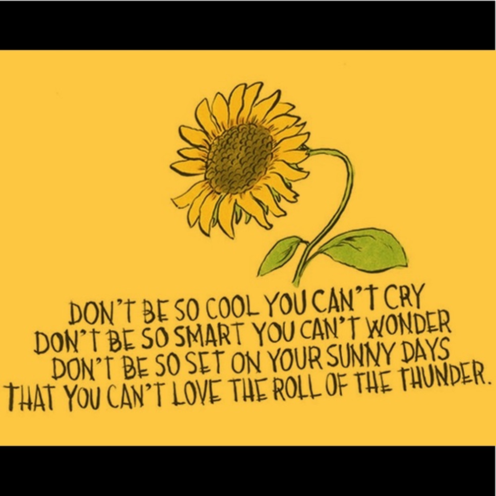 Meet your Posher, Harmony