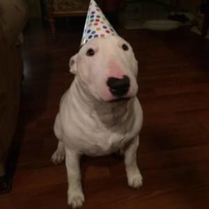 Meet your Posher, Gilberto