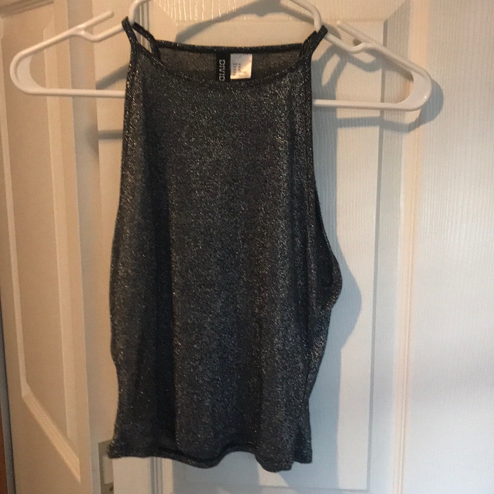 Divided Crop Top - Silver Sparkles