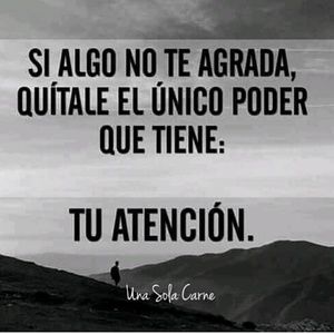 Meet your Posher, Wilbert