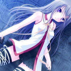 Meet your Posher, Jessie