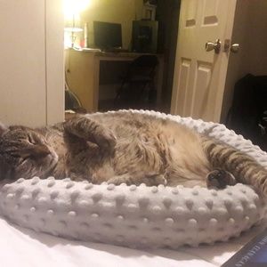 Meet your Posher, Samantha