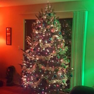 Meet your Posher, Caea