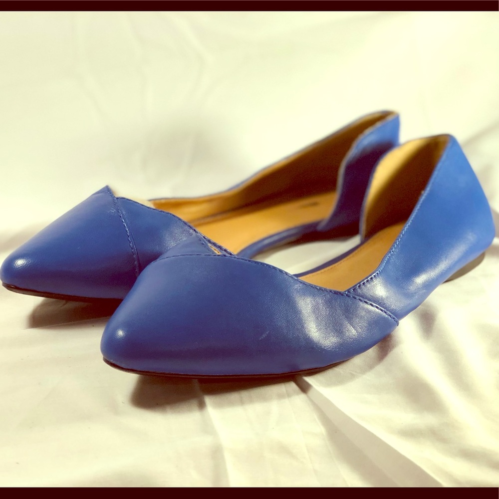 Lane Bryant blue pointy toe flats