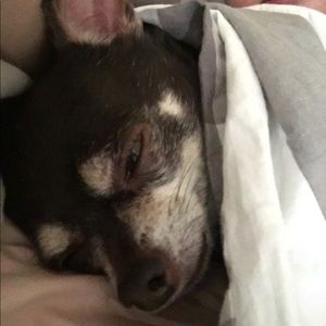 Meet your Posher, Katherine