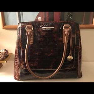 Large Tortoise Brahmin Handbag