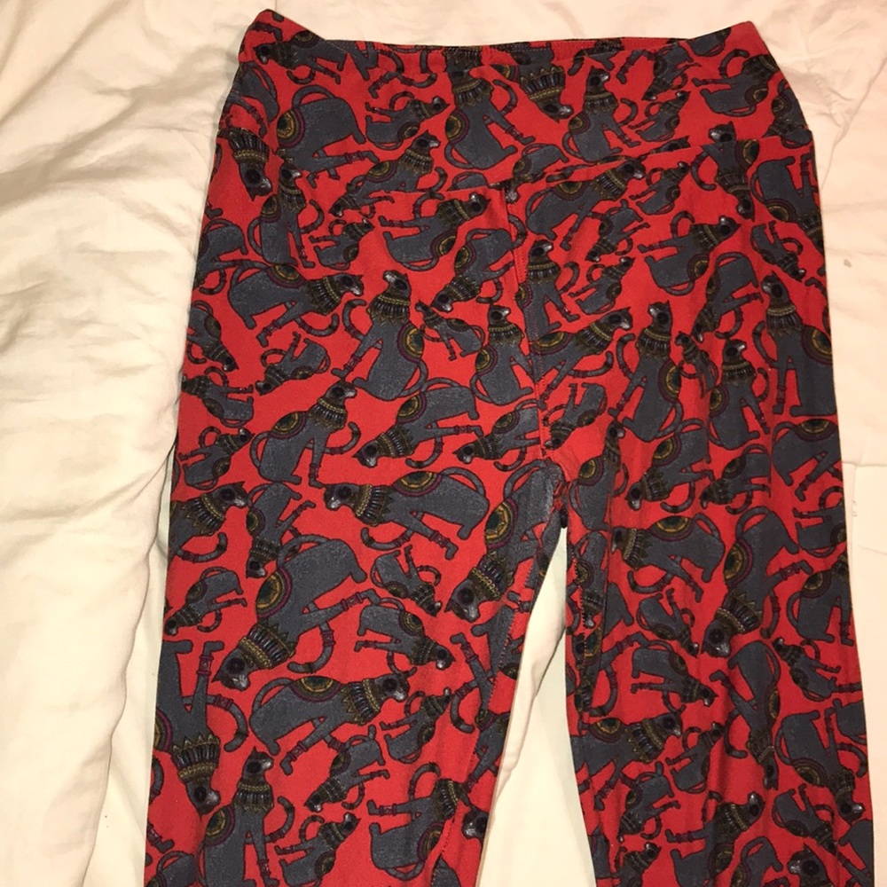 Cat leggings