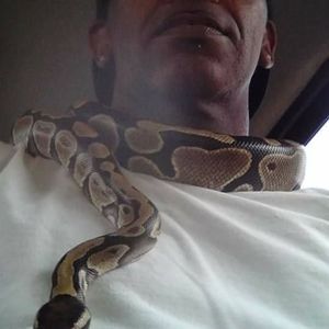 Meet your Posher, David