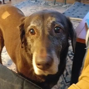 Meet your Posher, Scott