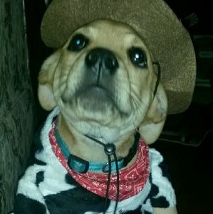 Meet your Posher, Misty