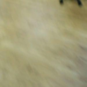 Meet your Posher, Adrian