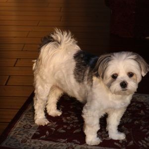 Meet your Posher, Deanna