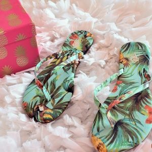 Vans Tropical Sandals