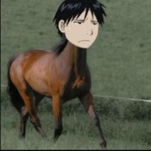 Meet your Posher, Roy