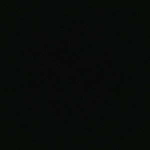 Meet your Posher, Ricky